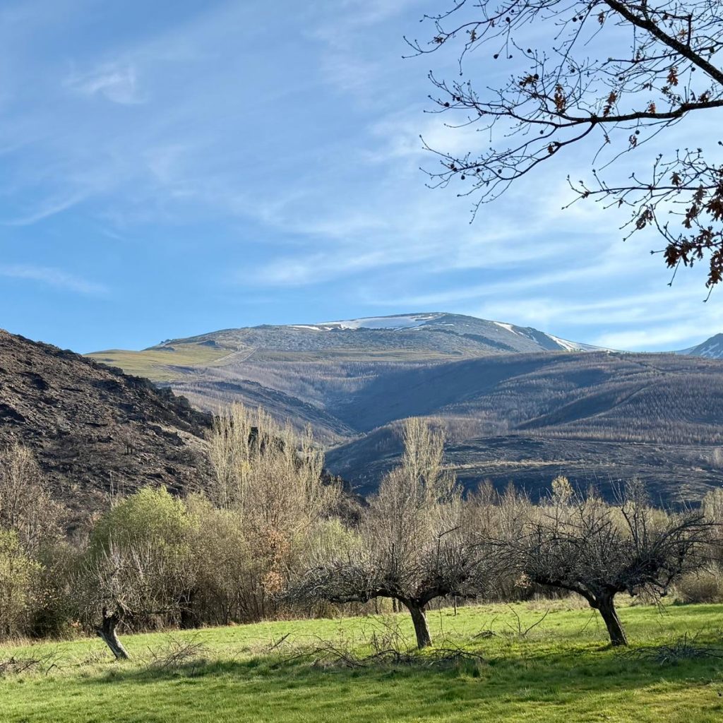 Recuperándose tras un incendio como símbolo de consolidación empresarial y resiliencia.